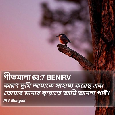 গীতমালা 63:7 BENIRV Bible Verse Image