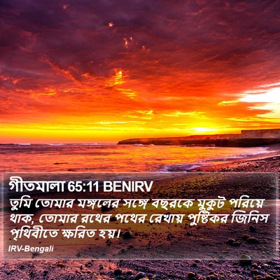 গীতমালা 65:11 BENIRV Bible Verse Image
