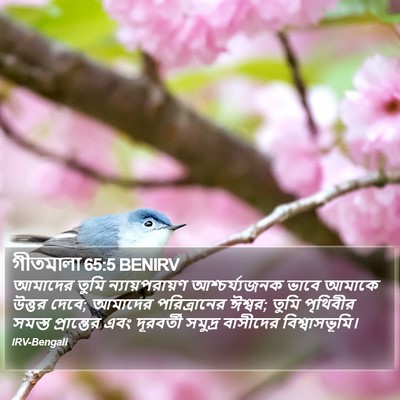 গীতমালা 65:5 BENIRV Bible Verse Image