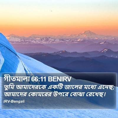 গীতমালা 66:11 BENIRV Bible Verse Image