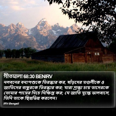 গীতমালা 68:30 BENIRV Bible Verse Image