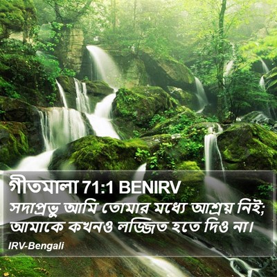 গীতমালা 71:1 BENIRV Bible Verse Image