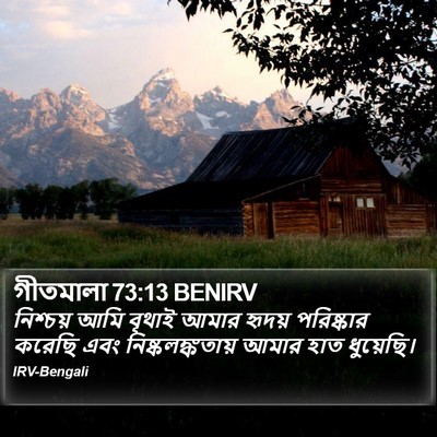 গীতমালা 73:13 BENIRV Bible Verse Image
