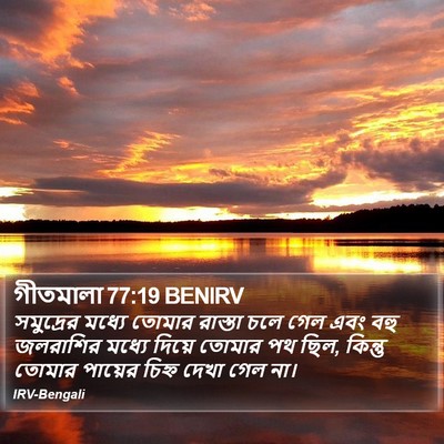 গীতমালা 77:19 BENIRV Bible Verse Image