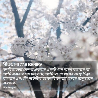 গীতমালা 77:6 BENIRV Bible Verse Image