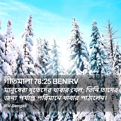 গীতমালা 78:25 BENIRV Bible Verse Image