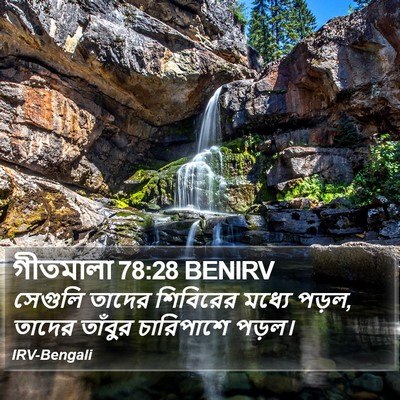 গীতমালা 78:28 BENIRV Bible Verse Image