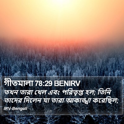 গীতমালা 78:29 BENIRV Bible Verse Image