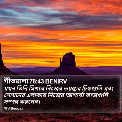 গীতমালা 78:43 BENIRV Bible Verse Image