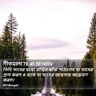 গীতমালা 78:45 BENIRV Bible Verse Image