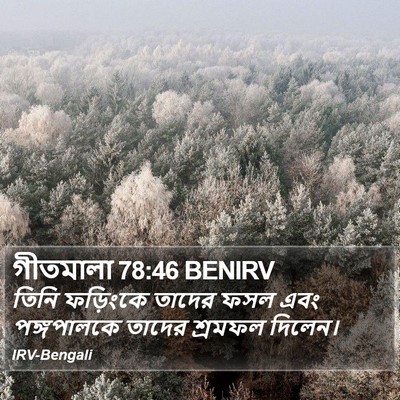 গীতমালা 78:46 BENIRV Bible Verse Image
