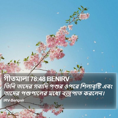 গীতমালা 78:48 BENIRV Bible Verse Image