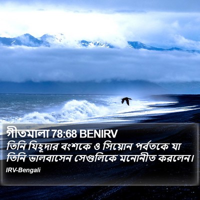 গীতমালা 78:68 BENIRV Bible Verse Image