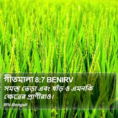 গীতমালা 8:7 BENIRV Bible Verse Image