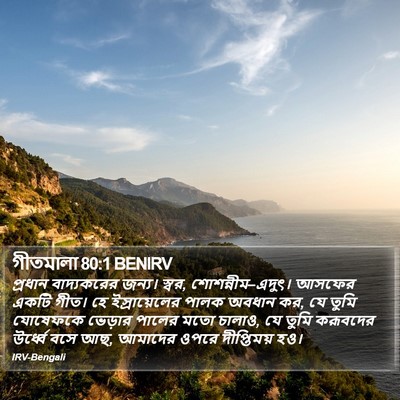 গীতমালা 80:1 BENIRV Bible Verse Image