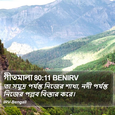গীতমালা 80:11 BENIRV Bible Verse Image