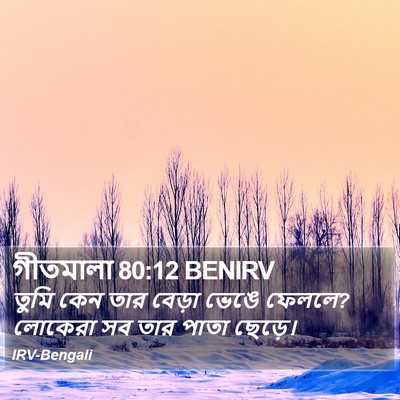 গীতমালা 80:12 BENIRV Bible Verse Image