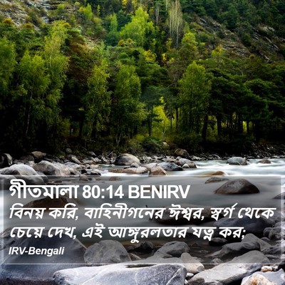 গীতমালা 80:14 BENIRV Bible Verse Image