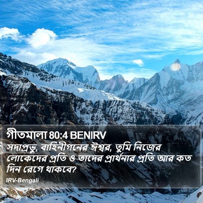 গীতমালা 80:4 BENIRV Bible Verse Image