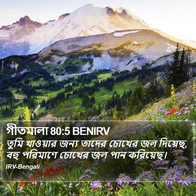 গীতমালা 80:5 BENIRV Bible Verse Image