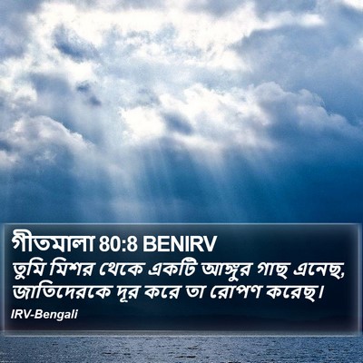 গীতমালা 80:8 BENIRV Bible Verse Image