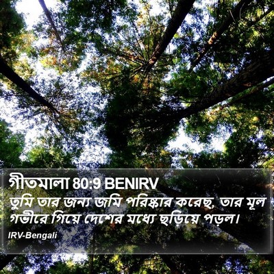 গীতমালা 80:9 BENIRV Bible Verse Image