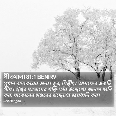 গীতমালা 81:1 BENIRV Bible Verse Image