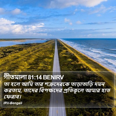 গীতমালা 81:14 BENIRV Bible Verse Image