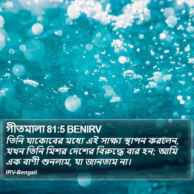গীতমালা 81:5 BENIRV Bible Verse Image
