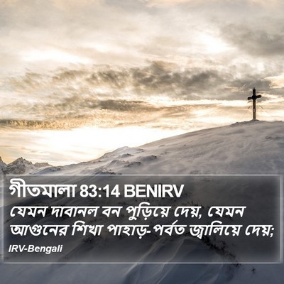 গীতমালা 83:14 BENIRV Bible Verse Image
