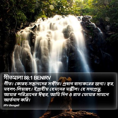 গীতমালা 88:1 BENIRV Bible Verse Image