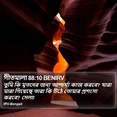 গীতমালা 88:10 BENIRV Bible Verse Image