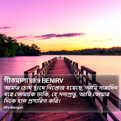 গীতমালা 88:9 BENIRV Bible Verse Image