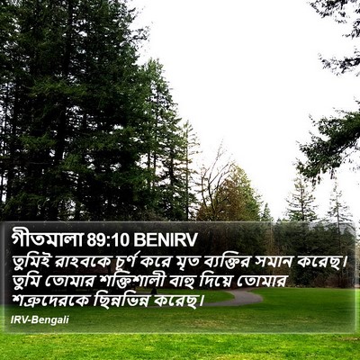 গীতমালা 89:10 BENIRV Bible Verse Image