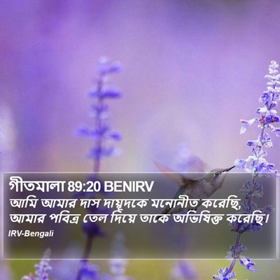 গীতমালা 89:20 BENIRV Bible Verse Image
