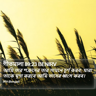 গীতমালা 89:23 BENIRV Bible Verse Image
