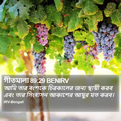গীতমালা 89:29 BENIRV Bible Verse Image