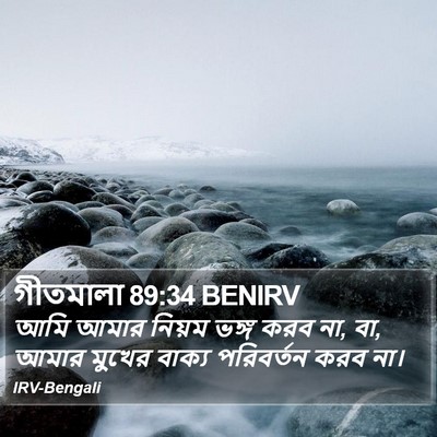 গীতমালা 89:34 BENIRV Bible Verse Image