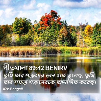 গীতমালা 89:42 BENIRV Bible Verse Image
