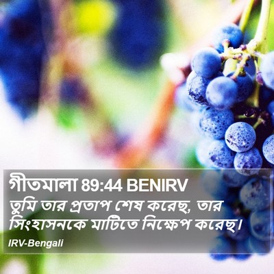 গীতমালা 89:44 BENIRV Bible Verse Image