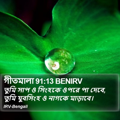 গীতমালা 91:13 BENIRV Bible Verse Image