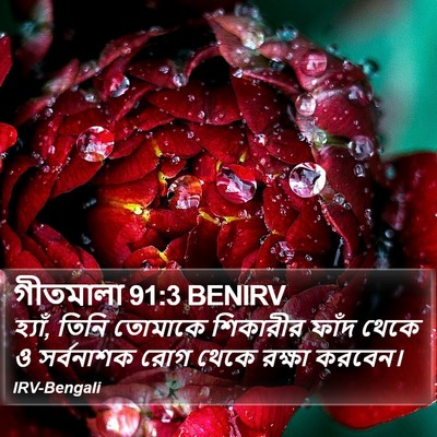 গীতমালা 91:3 BENIRV Bible Verse Image