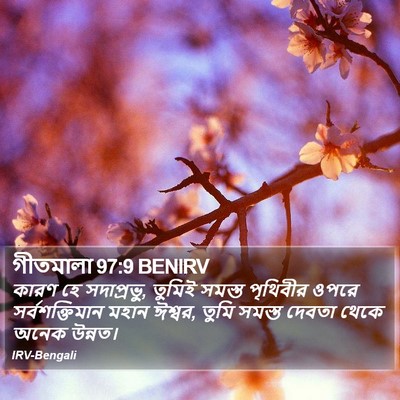গীতমালা 97:9 BENIRV Bible Verse Image