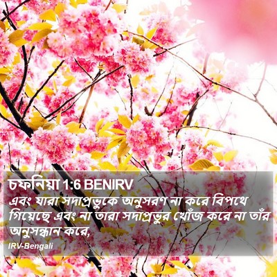 চফনিয়া 1:6 BENIRV Bible Verse Image