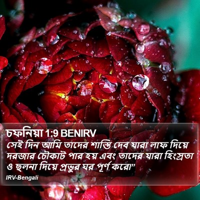চফনিয়া 1:9 BENIRV Bible Verse Image