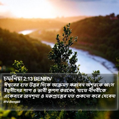 চফনিয়া 2:13 BENIRV Bible Verse Image