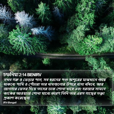 চফনিয়া 2:14 BENIRV Bible Verse Image