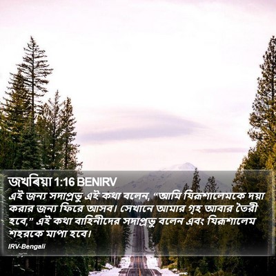 জখৰিয়া 1:16 BENIRV Bible Verse Image