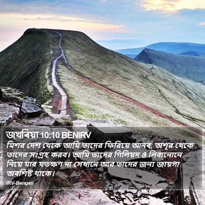 জখৰিয়া 10:10 BENIRV Bible Verse Image