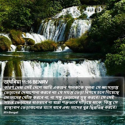জখৰিয়া 11:16 BENIRV Bible Verse Image